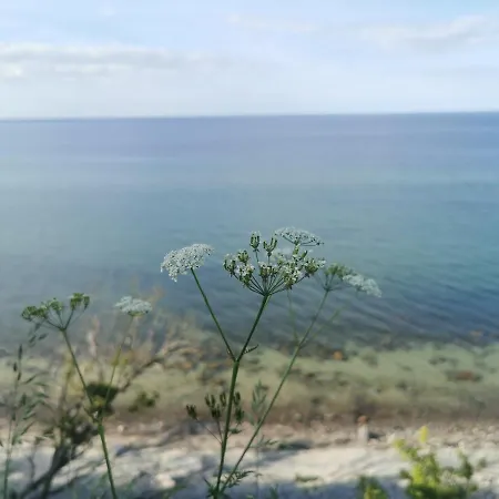 Lejlighed Nordic Bo- Strandnahe, Gemuetliche Ferienhaushaelfte In Schwedeneck, Hunde Herzlich Willkommen *