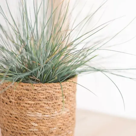 Nordic Bo- Strandnahe, Gemuetliche Ferienhaushaelfte In Schwedeneck, Hunde Herzlich Willkommen *