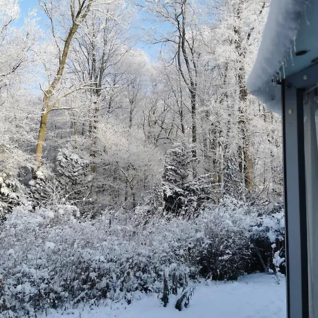 Nordic Bo- Strandnahe, Gemuetliche Ferienhaushaelfte In Schwedeneck, Hunde Herzlich Willkommen Daire *