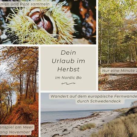 Nordic Bo- Strandnahe, Gemuetliche Ferienhaushaelfte In Schwedeneck, Hunde Herzlich Willkommen * Surendorf